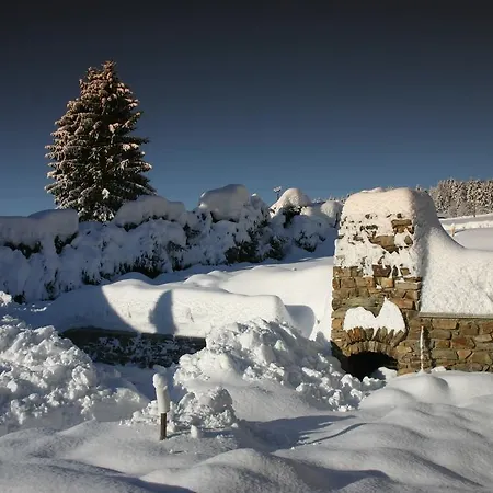 Oda ve Kahvaltı Na Kopecku 3*